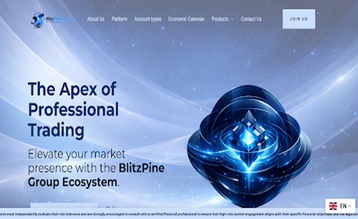 Blitzpinegroup