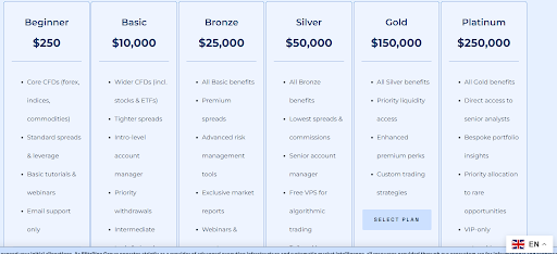 Blitzpinegroup